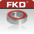 Fkd Deep Groove Ball Bearings